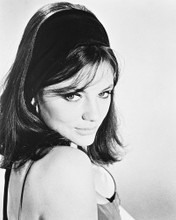 JACQUELINE BISSET PRINTS AND POSTERS 169418