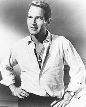 PAUL NEWMAN HUNKY OPEN SHIRT LATE 50'S PRINTS AND POSTERS 169358