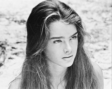 BROOKE SHIELDS PRINTS AND POSTERS 169257
