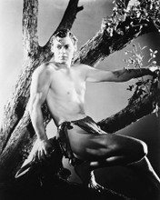 JOHNNY WEISSMULLER PRINTS AND POSTERS 169149