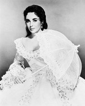 ELIZABETH TAYLOR PRINTS AND POSTERS 169017