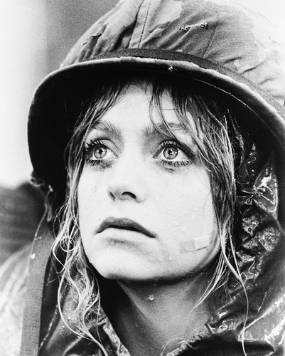 Goldie Hawn Private Benjamin Posters And Photos 168574 Movie Store