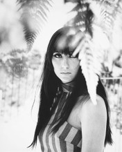 CHER 60'S FLOWER CHILD LOOK PRINTS AND POSTERS 168545