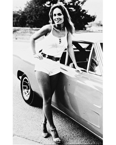 Catherine Bach The Dukes of Hazzard Posters and Photos 168395 | Movie St
