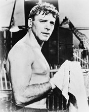 BURT LANCASTER TRAPEZE HUNKY BARECHESTED PRINTS AND POSTERS 168320
