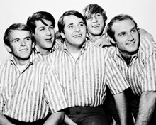 THE BEACH BOYS PRINTS AND POSTERS 168263