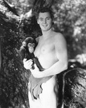 JOHNNY WEISSMULLER HUNKY TARZAN PRINTS AND POSTERS 168251