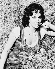 GINA LOLLOBRIGIDA BUSTY IN HAY BARN PRINTS AND POSTERS 168083