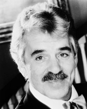 DENNIS FARINA PRINTS AND POSTERS 167980