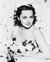 OLIVIA DE HAVILLAND PRINTS AND POSTERS 167967