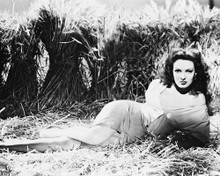 LINDA DARNELL SEXY IN BARN PRINTS AND POSTERS 167962