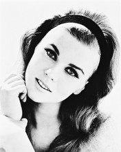 ANN-MARGRET PRINTS AND POSTERS 167848