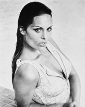 DALIAH LAVI BUSTY PRINTS AND POSTERS 167847