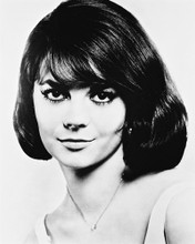 NATALIE WOOD PRINTS AND POSTERS 167787