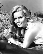 TUESDAY WELD PRINTS AND POSTERS 167786