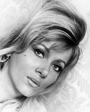 INGRID PITT PRINTS AND POSTERS 167525