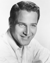 PAUL NEWMAN HANDSOME 1950'S PRINTS AND POSTERS 167424