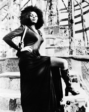 PAM GRIER PRINTS AND POSTERS 167310
