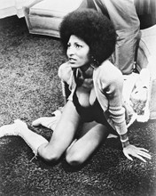 PAM GRIER PRINTS AND POSTERS 167208