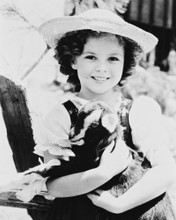 SHIRLEY TEMPLE PRINTS AND POSTERS 167161