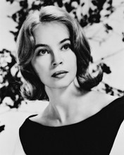 LESLIE CARON PRINTS AND POSTERS 167081