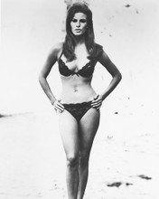 RAQUEL WELCH PRINTS AND POSTERS 167066