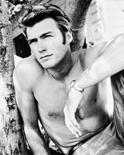 CLINT EASTWOOD BARE CHESTED HUNKY PRINTS AND POSTERS 167000