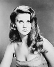 ANN-MARGRET NICE 1950'S PRINTS AND POSTERS 166976