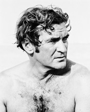 ROD TAYLOR BARECHESTED HUNKY PRINTS AND POSTERS 166964