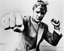 MICHAEL CAINE PUNCHING AT CAMERA 60'S PRINTS AND POSTERS 165993