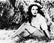 LINDA DARNELL PRINTS AND POSTERS 165900