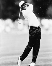 TIGER WOODS PRINTS AND POSTERS 165672