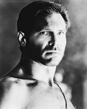 HARRISON FORD PRINTS AND POSTERS 16553