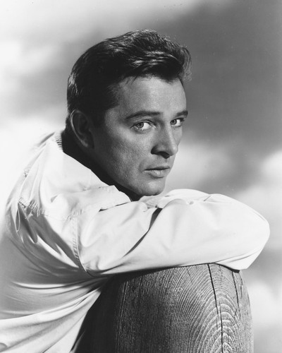 Richard Burton Posters and Photos 165075 Movie Store