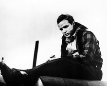 MARLON BRANDO ON THE WATERFRONT SITTING PRINTS AND POSTERS 165070