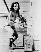 LYNDA CARTER PRINTS AND POSTERS 164819