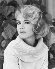 SANDRA DEE PRINTS AND POSTERS 164603