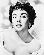 ELIZABETH TAYLOR PRINTS AND POSTERS 163918