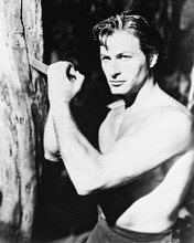 LEX BARKER PRINTS AND POSTERS 163757