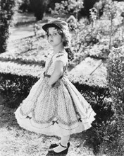 SHIRLEY TEMPLE PRINTS AND POSTERS 163709