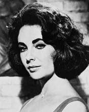 ELIZABETH TAYLOR STRIKING CLOSE UP 60'S PRINTS AND POSTERS 163708