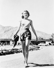 GRACE KELLY SEXY IN SHORTS RARE SHOT PRINTS AND POSTERS 163404