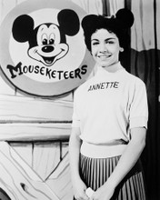 ANNETTE FUNICELLO PRINTS AND POSTERS 163371