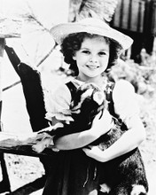 SHIRLEY TEMPLE PRINTS AND POSTERS 163269