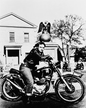 WILD ONE MARLON BRANDO TRIUMPH MOTORCYCLE PRINTS AND POSTERS 162935
