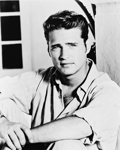 Jason Priestley Beverly Hills 90210 Posters And Photos 162672 Movie S