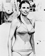 RAQUEL WELCH PRINTS AND POSTERS 161468