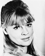 JULIE CHRISTIE PRINTS AND POSTERS 161335