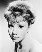 HAYLEY MILLS PRINTS AND POSTERS 161085