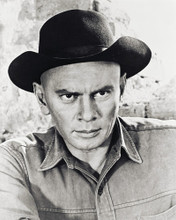 YUL BRYNNER THE MAGNIFICENT SEVEN 7 PRINTS AND POSTERS 161007